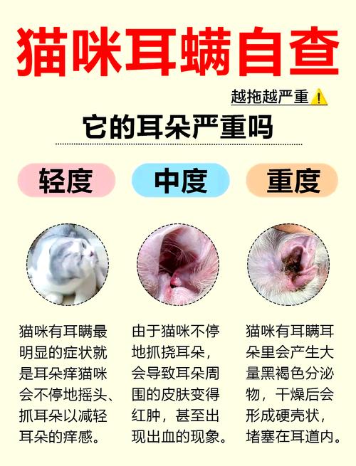 宠物耳螨21天生命周期发育阶段示意图