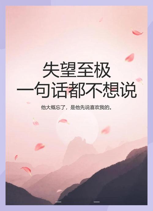 最后想说的几句