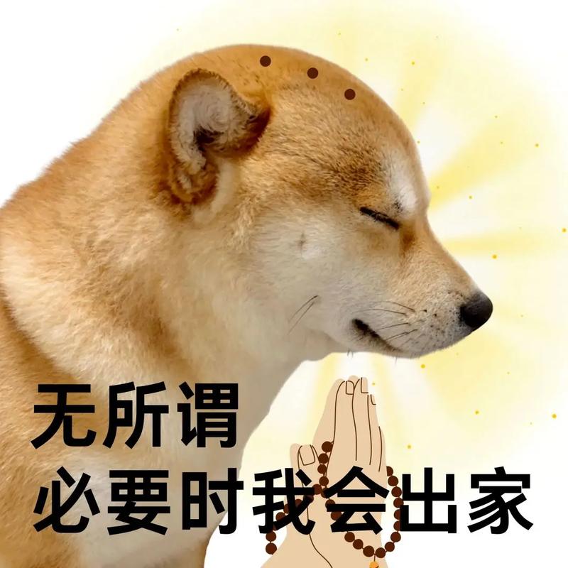 佛系之后，他忽然就会了