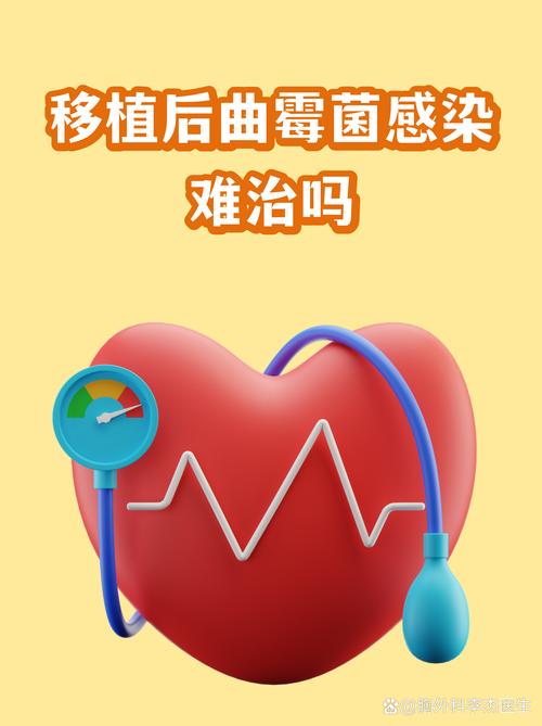 临床落地前，还有几个绕不开的坎