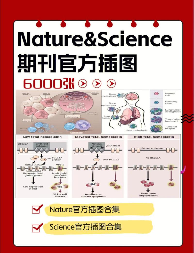 生物医学：从基因剪刀到奇迹药丸