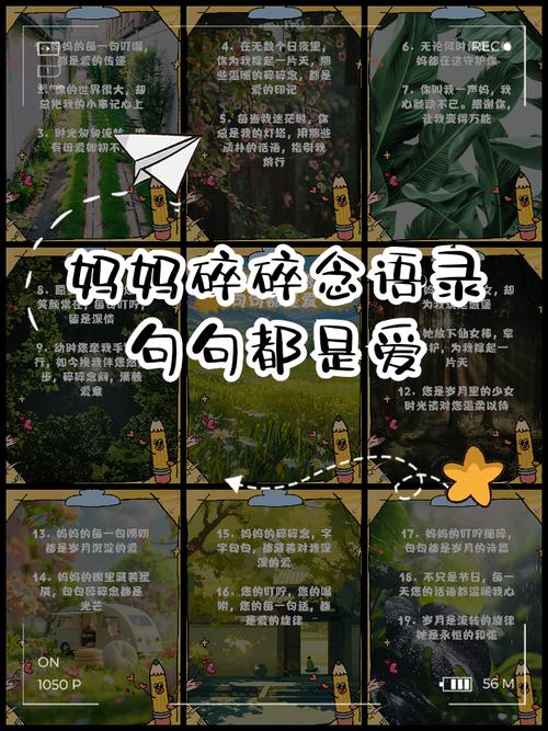 碎碎念一句
