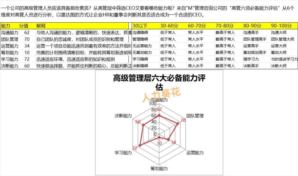 个人人力资本雷达图 技能评估维度
