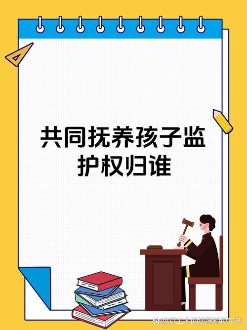 监护权诉讼举证责任分配流程图