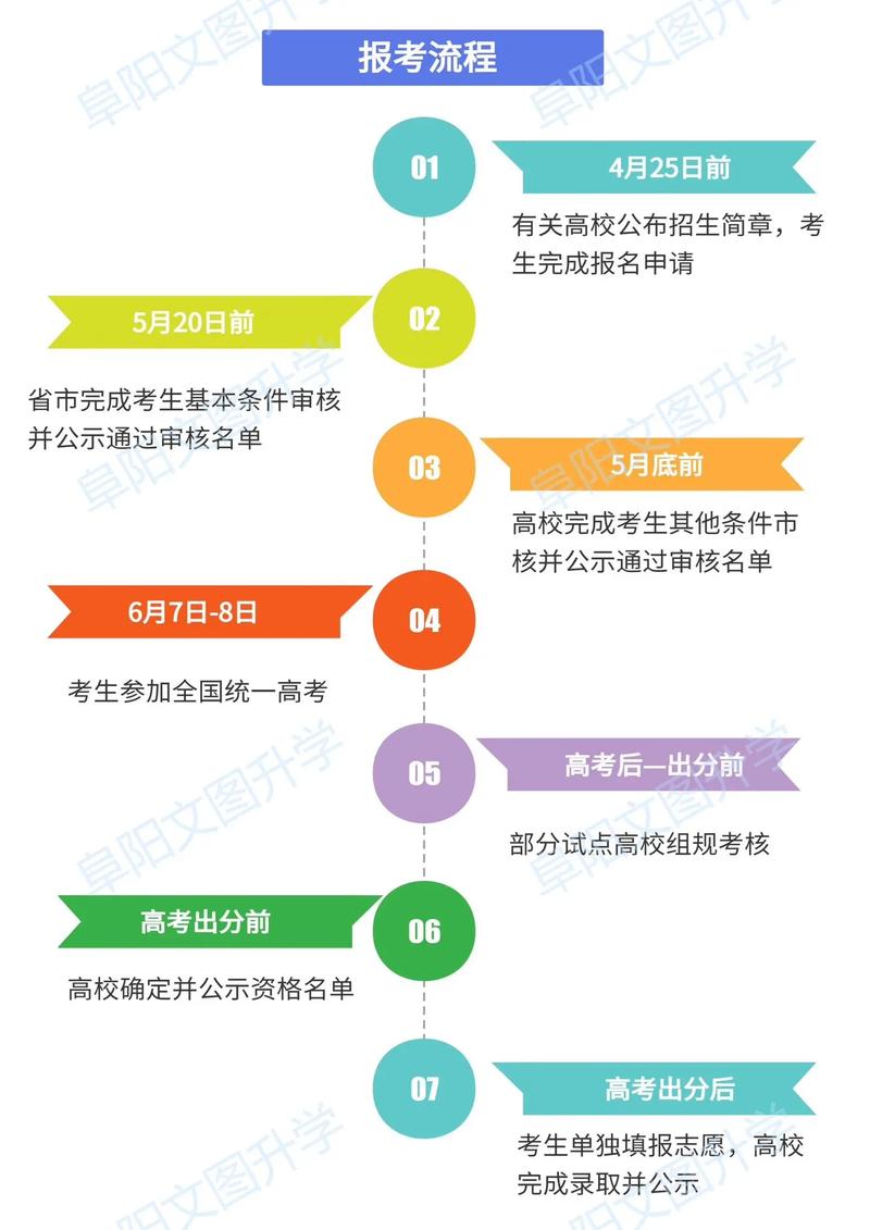 2024高校专项计划报名流程示意图