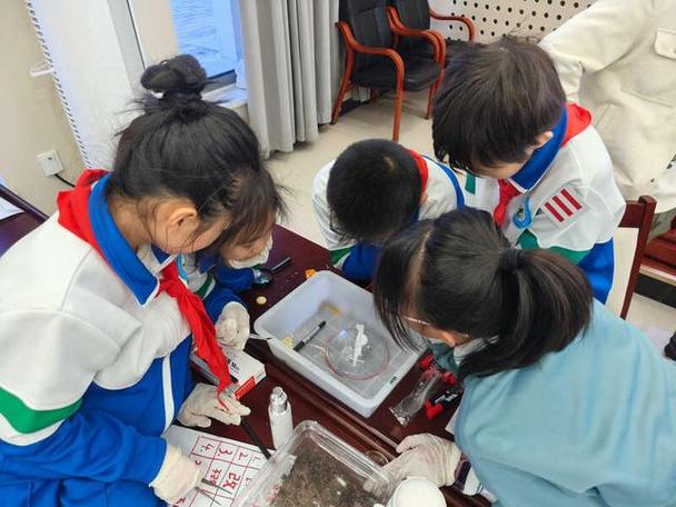 教师蹲下来和学生一起观察蚂蚁巢穴探究式学习