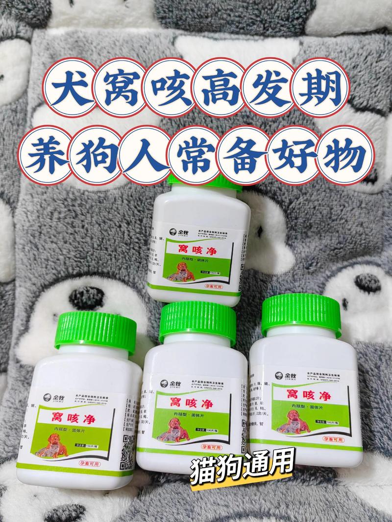 养了高发品种，日常只要盯这三件事