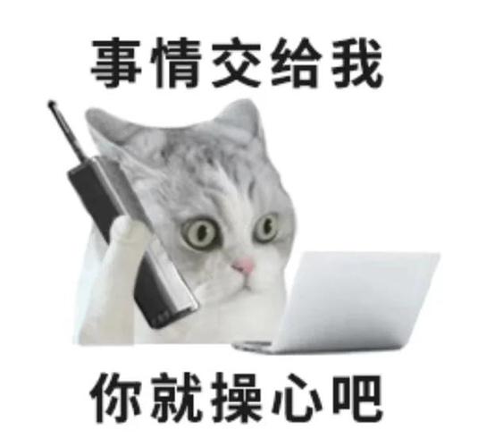 🔧 你的专属安慰包,必须扎心也扎胃