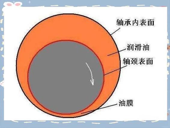 齿轮啮合弹流润滑油膜形态示意图