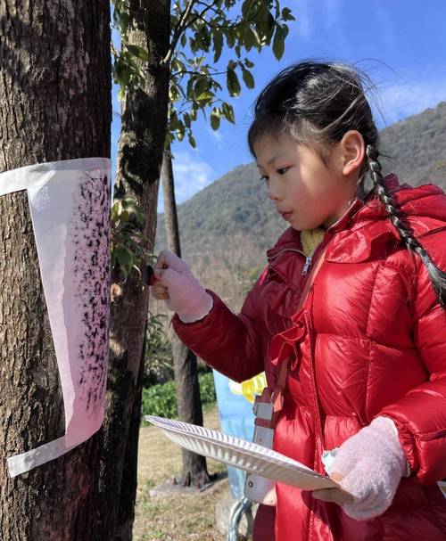 中小学生校园树皮拓印跨学科活动实拍