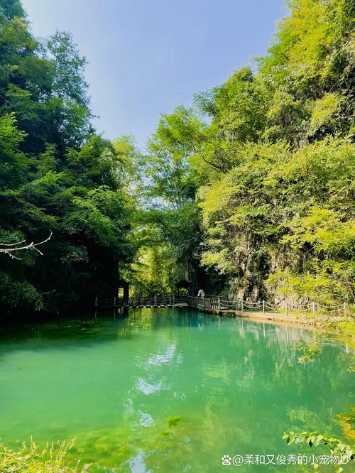 湖北南漳翡翠峡碧绿峡谷溪水
