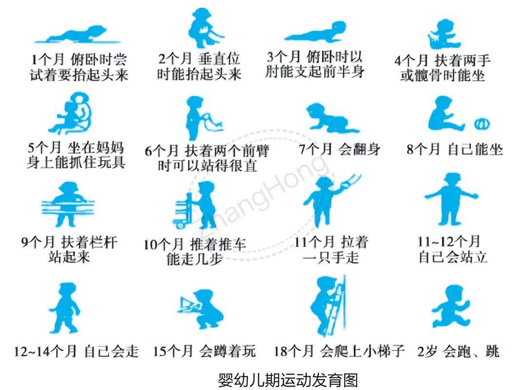 幼儿学步关键阶段示意图