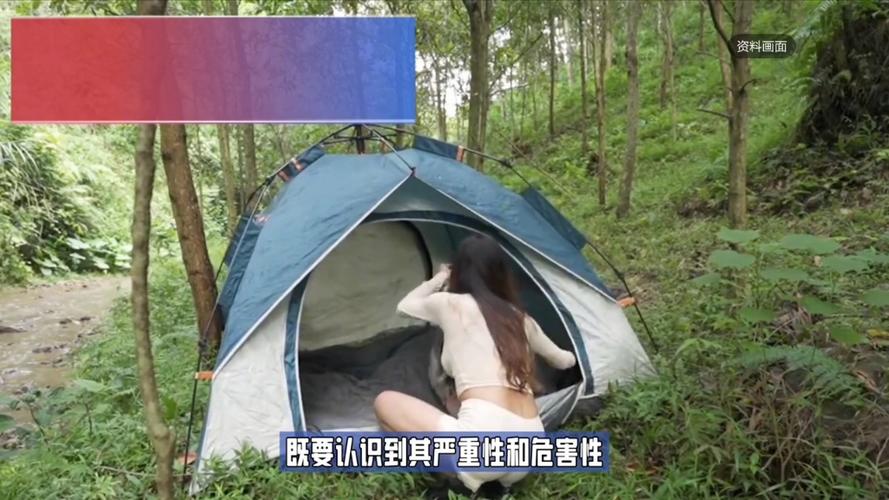露营的“去泡沫”:现在的玩家开始反着花钱了