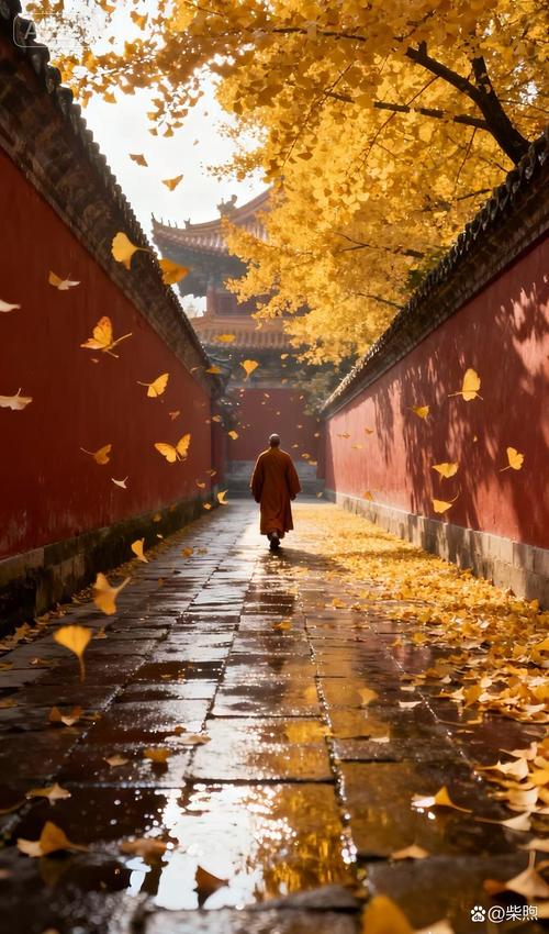 法门寺老寺院石板路落满金黄银杏叶