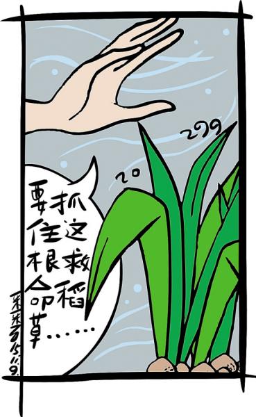 踩坑之后，普通人该怎么抓住这根救命稻草