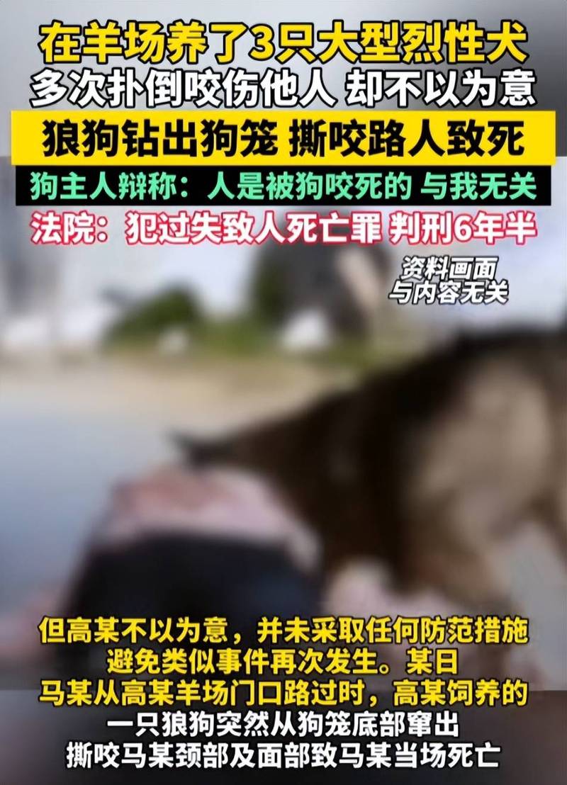 2021-2024宠物伤人纠纷判决结果统计图