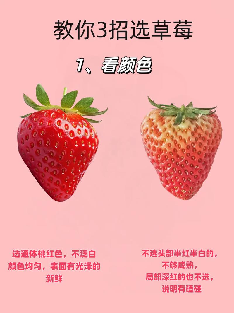 新鲜催熟草莓生鲜挑选对比图