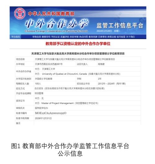 教育部中外合作办学监管工作信息平台项目查询截图
