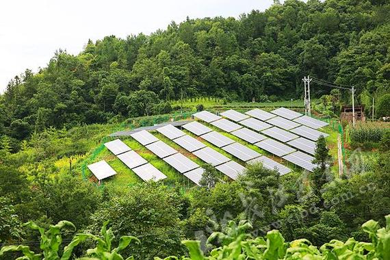 第一次去太坪村，这些干货要收好