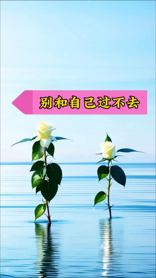 偶尔乱了节奏，别跟自己过不去