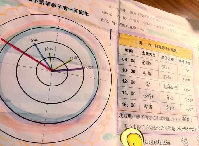 影子变化探索科学活动记录表示例