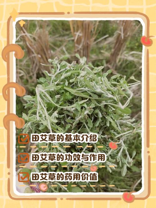🌿 环保与安全:孩子房能用吗?