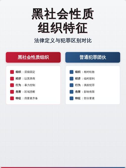 黑社会性质组织四个法律特征认定表