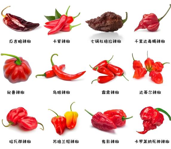 斯科维尔辣度表及常见辣椒对比图