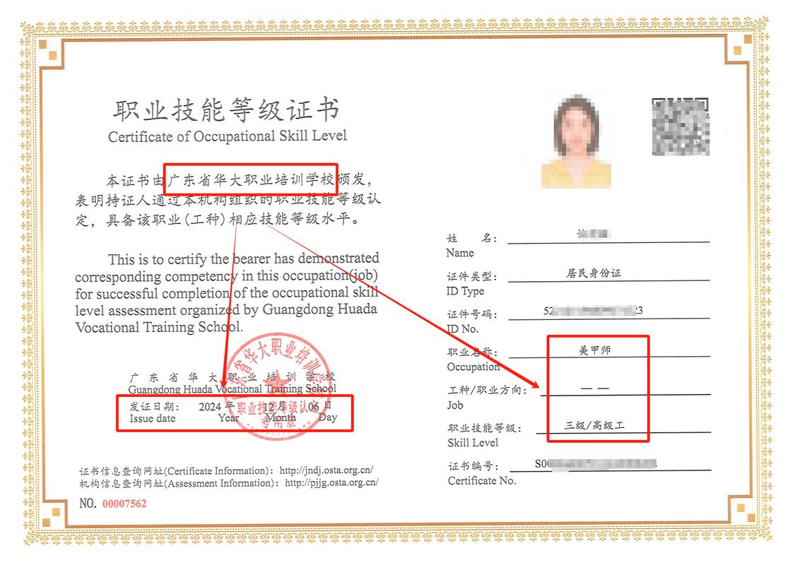 职业技能等级证书样本内页及国网查询截图