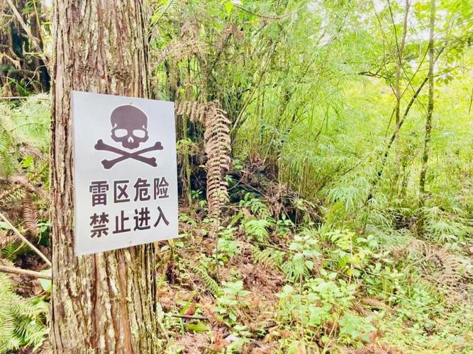 ❗ 这些雷区打死都别碰