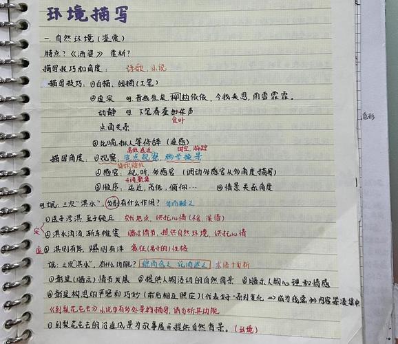 考点三：环境“留白”比填满更重要
