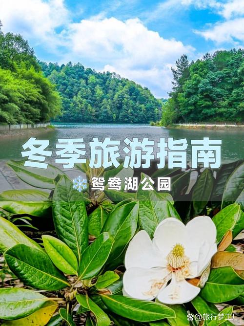 昌集鸳鸯湖越冬实用贴士