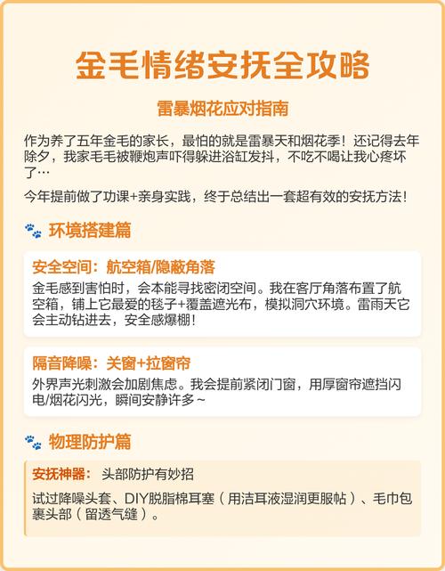 宠物烟花恐惧错误安抚方式对比图
