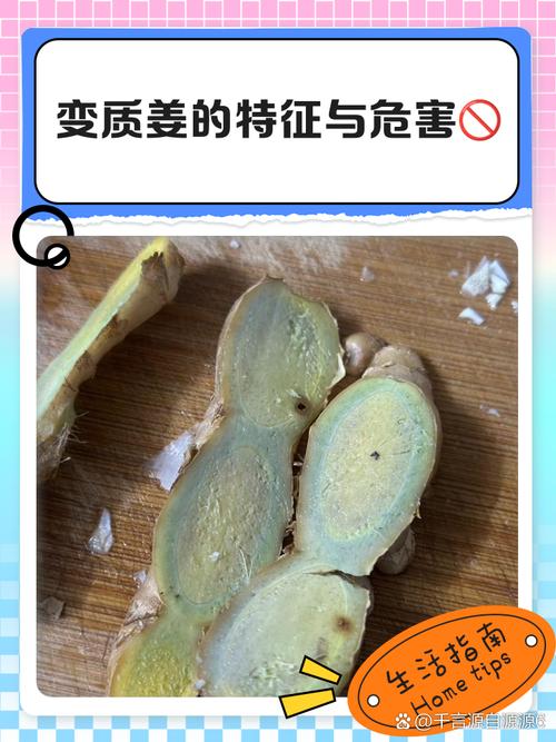 腐烂的生姜与新鲜生姜的对比