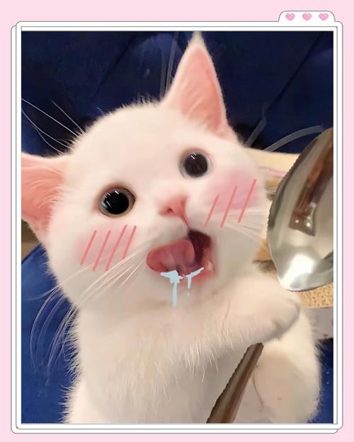 嘴馋忍不住,这么选就对了