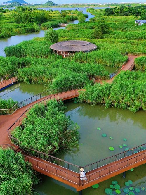 带娃逛湿地,没那么多讲究