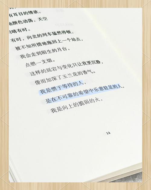 尾随多年,我只能说:别小看任何一条蓬松尾巴