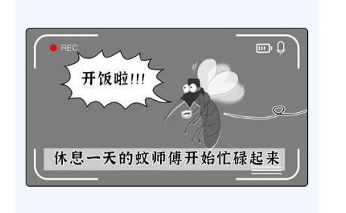 蚊虫不是闹着玩的