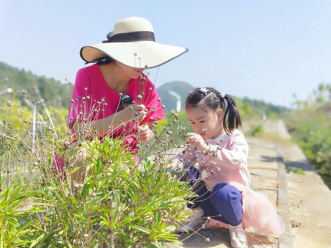 小朋友和妈妈秋分捡桂花实拍图