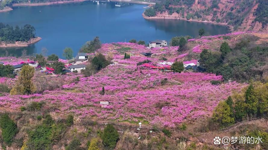 龙泉驿桃花山野全景