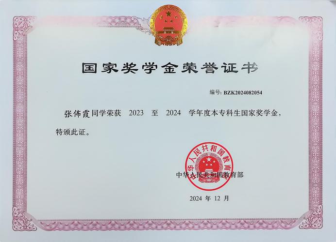 奖学金类型：别只盯着国家奖
