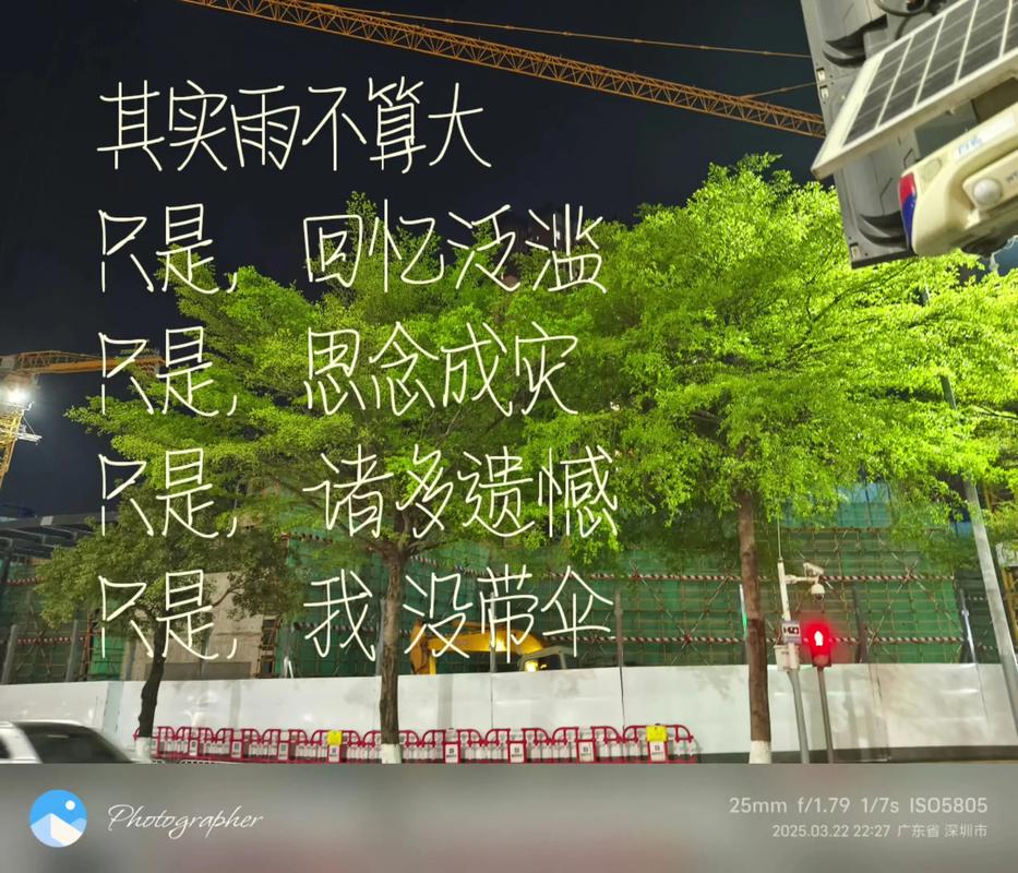 最后，我还是没带伞