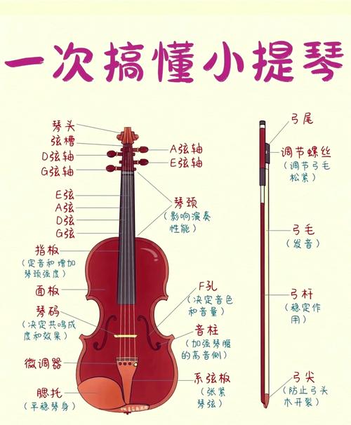 不同材质小提琴琴弦对比展示