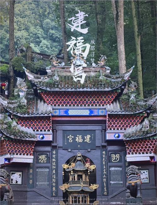 青城山建福宫古树