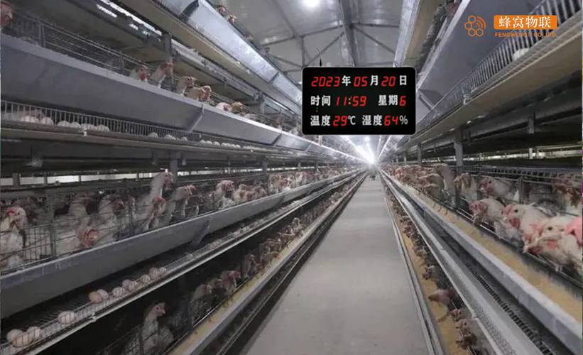 搞乡村振兴技术，我在村里踩了三个大坑