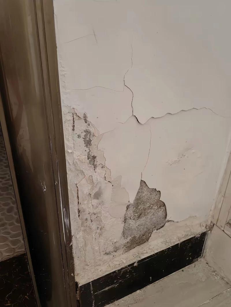 退租房屋故意损毁纠纷墙面现场照