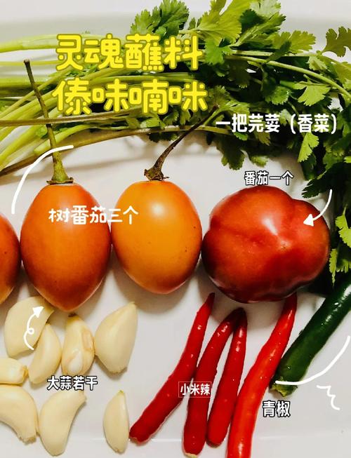 2. 番茄喃咪拼盘:蔬菜狂欢,零脂肪蘸水