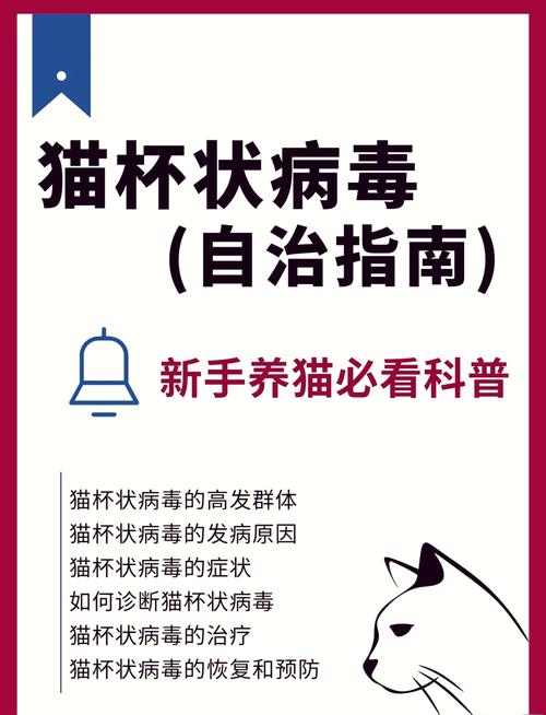 日常养猫，对付猫杯状的几个实在办法