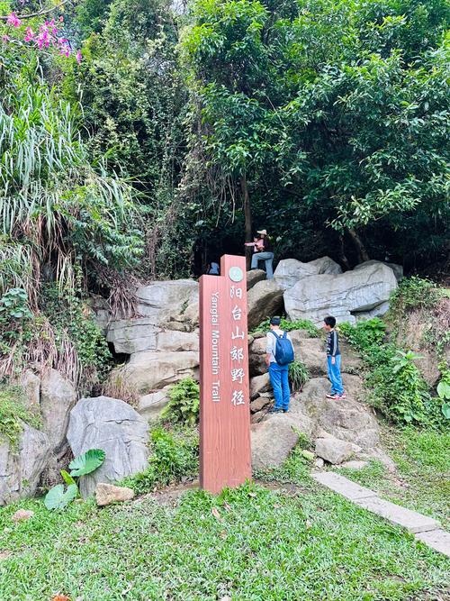 4. 植物园的“免费副本”:葫芦岛对岸的野径