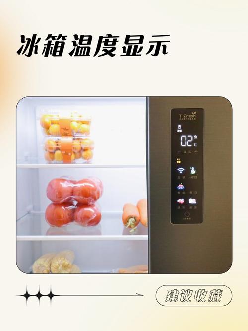 冰箱不同层架温度分布实拍图